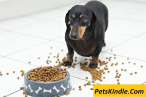 PetsKindle.Com 